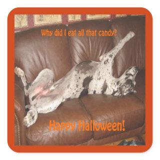 Great Dane Ate Too Much Halloween Candy Square Sticker