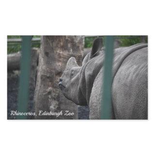 Greater One-Horned Rhinoceros at Edinburgh Zoo Rectangular Sticker