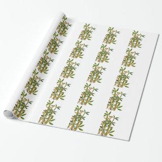 Green bamboo  isolated on white background
