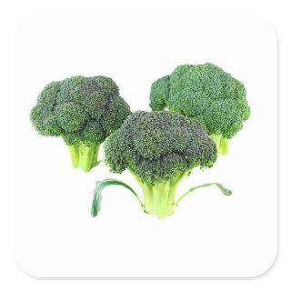 Green Broccoli Crowns on White Square Sticker