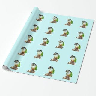 Green Cheek Conure