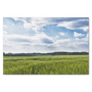 Green Cornfields and Blue Skies Tissue Paper