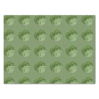 Green Denim Tissue Paper