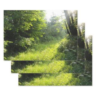 Green Forest Meadow  Sheets