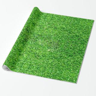Green Grass Texture