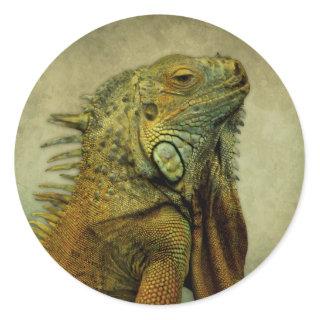 Green Iguana Classic Round Sticker