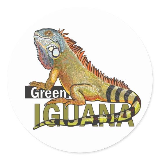 green iguana classic round sticker