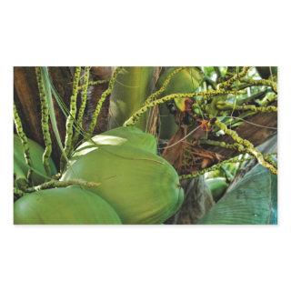 Green Island Coconuts Palm Tree Rectangular Sticker