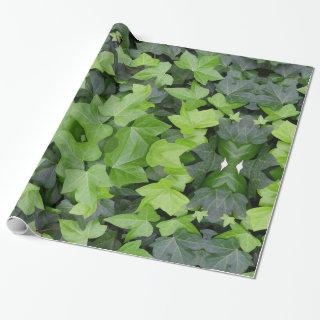 Green Ivy Botanical Print