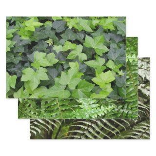 Green Ivy Botanical Print  Sheets