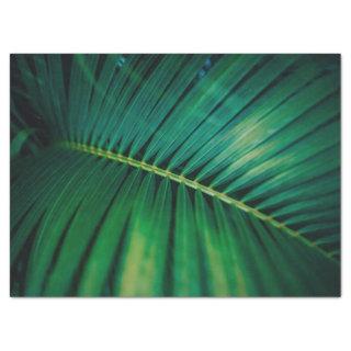 Green Leaf Tropical Forest Nature Photo Tissue Paper