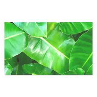 Green leaves Palm Leaf tropical foliage jungle  Rectangular Sticker
