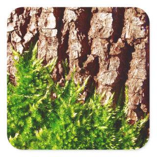 Green Moss on Tree Bark Seasonal Nature Design Square Sticker