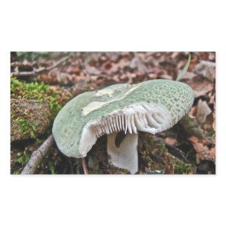 Green Mushroom - Russula crusosa Rectangular Sticker