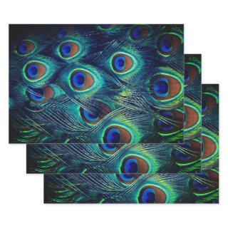 Green Peacock Feathers Collection  Sheets