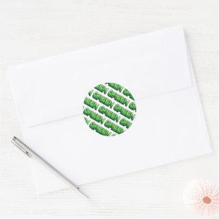 Green Retro Modern Reuse Recycle Eco Friendly Classic Round Sticker