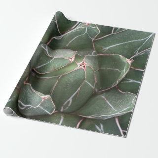 Green Succulnet Plant Matte