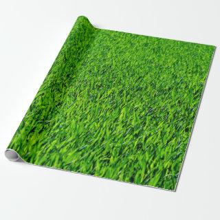 Green Summer Grass Texture