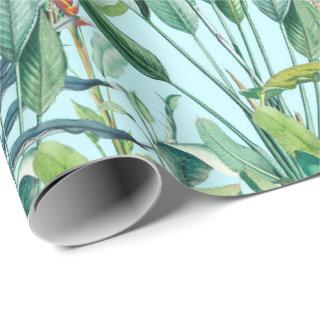 Green Tropical Jungle Banana Tree Strelitzia
