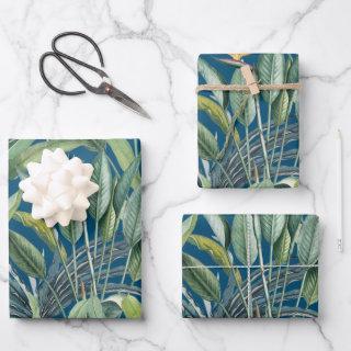 Green Tropical Jungle Banana Tree Strelitzia  Sheets