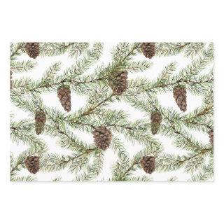 Greenery. pine, cone, fir  sheets