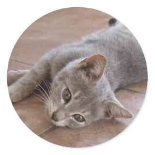 Grey Cat Sticker