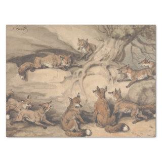 Grey Fox (Canis Virginianus) Tissue Paper