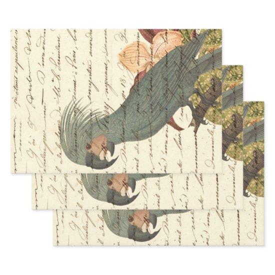 Grey Parrot with Flowers and Cursive  Sheets