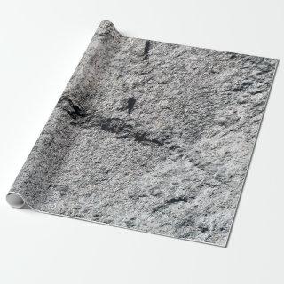 Grey Slate Rock Surface Close-Up