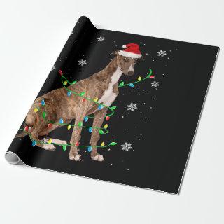 greyhound christmas light cute santa greyhound
