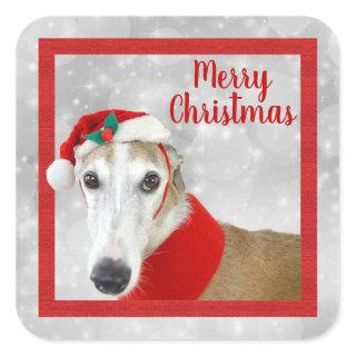 Greyhound Merry Christmas Square Sticker