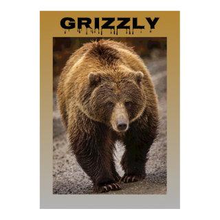 Grizzly Poster