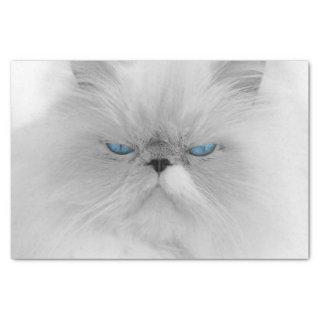 Grouchy Persian Cat Tissue Paper