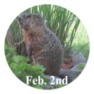 Groundhog Day Classic Round Sticker