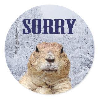 Groundhog Day Sorry Classic Round Sticker