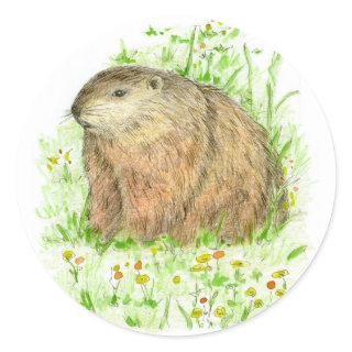Groundhog Day Woodchuck Rodent Animal Classic Round Sticker