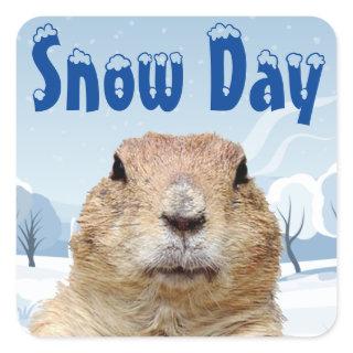 Groundhog Snow Day Square Sticker