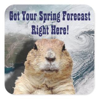 Groundhog Spring Forecast Square Sticker