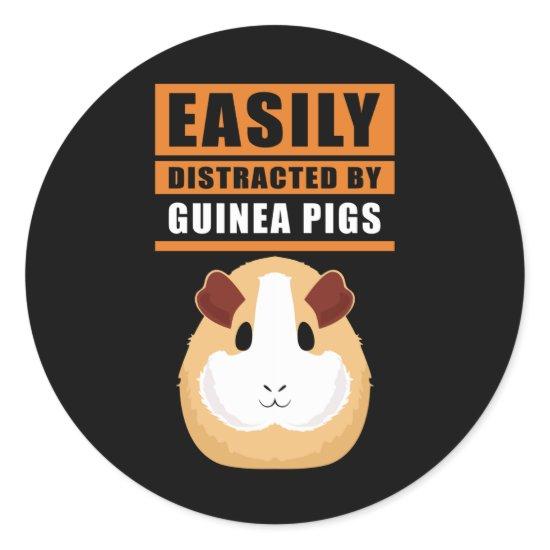Guinea Pig | Easily Distracted By Guinea Pigs Classic Round Sticker