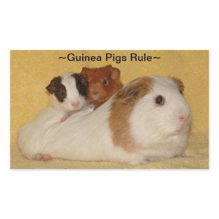 Guinea Pigs Rule Stickers