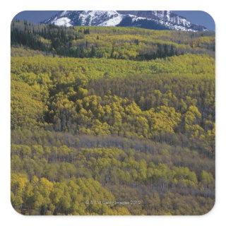 Gunnison National Forest in Colorado Square Sticker
