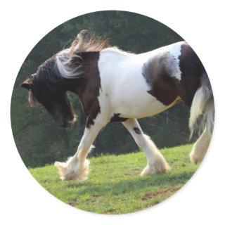 Gypsy Vanner Classic Round Sticker
