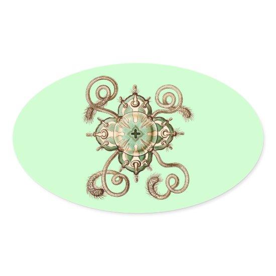Haeckel Oval Sticker