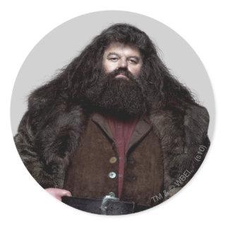 Hagrid and Dog Classic Round Sticker