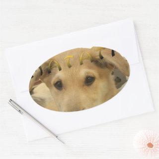 "Hakuna Matata Pup" – Worry-Free Puppy Love Oval Sticker
