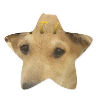 "Hakuna Matata Pup" – Worry-Free Puppy Love Star Sticker