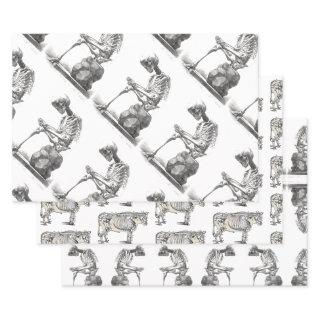 Halloween Skeleton Sitting Anatomy  Sheets