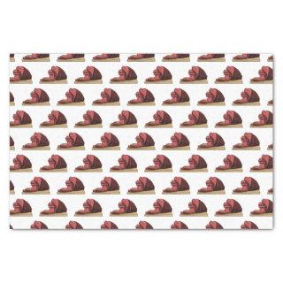Ham cartoon illustration  tissue paper