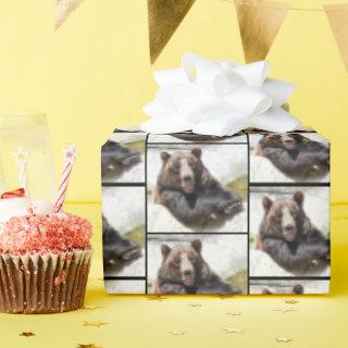 Happy Bear