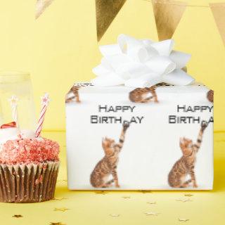 Happy Birthday Bengal Cat